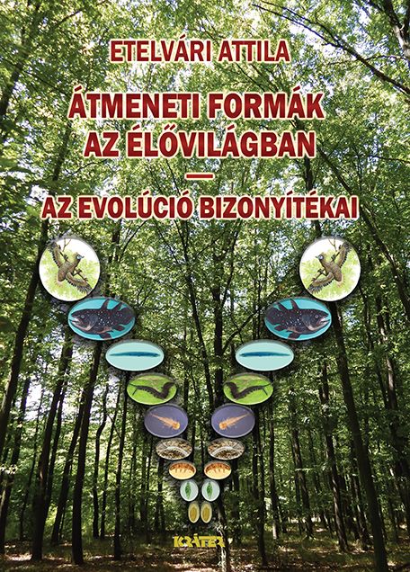 Átmeneti formák az élővilágban - az evolúció bizonyítékai