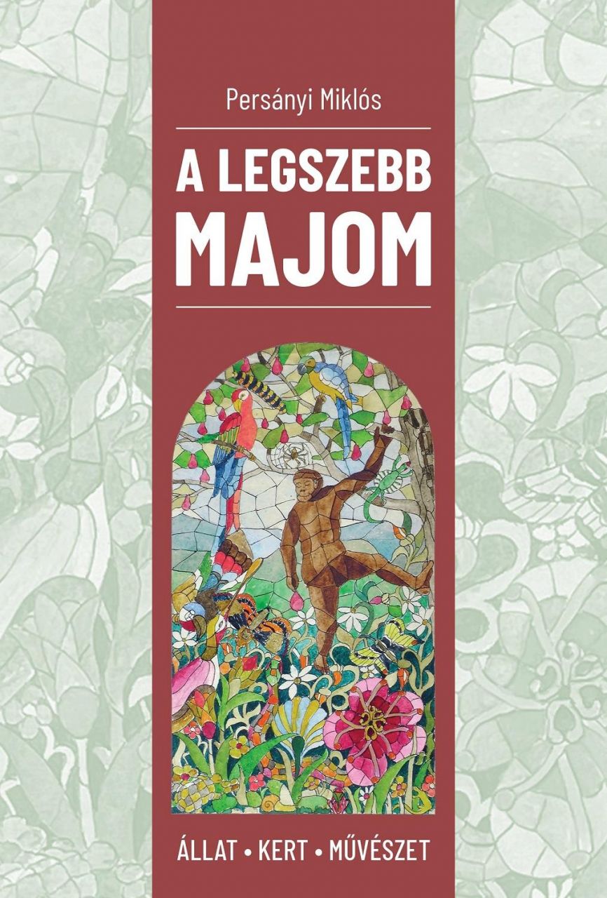 A legszebb majom - állat, kert, művészet