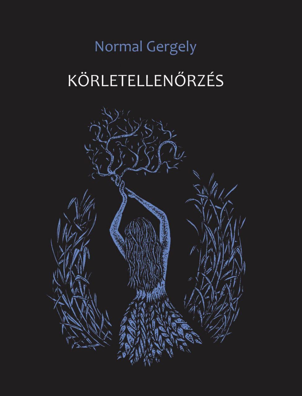 Körletellenőrzés