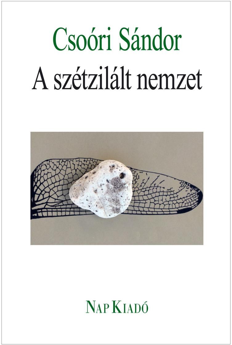 A szétzilált nemzet