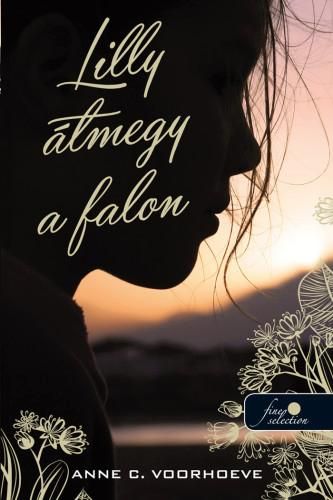 Lilly átmegy a falon