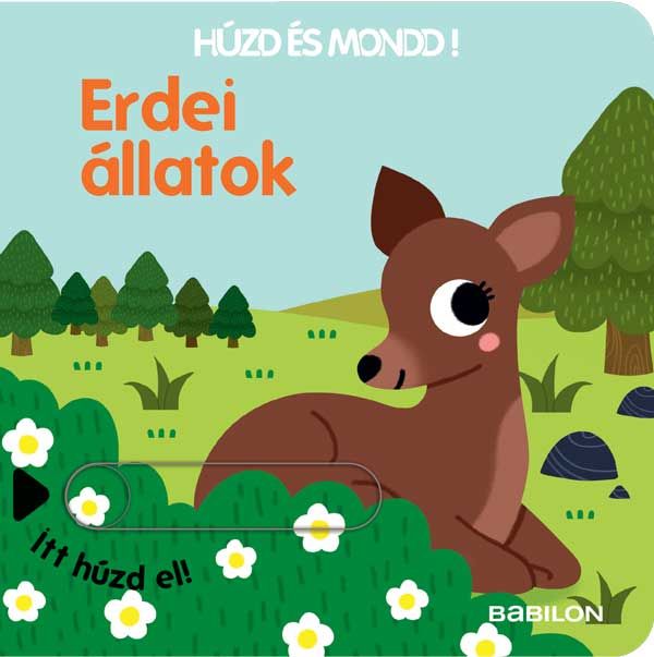 Húzd és mondd! 10. - erdei állatok