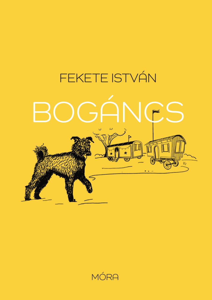 Bogáncs - fűzött