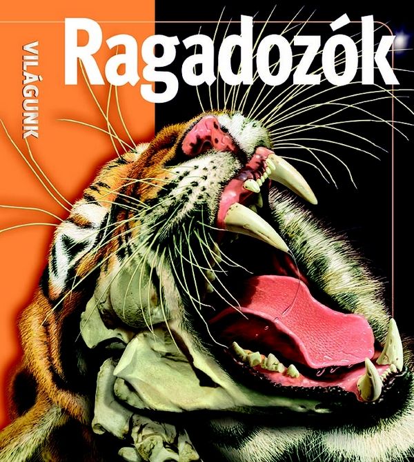 Ragadozók - világunk