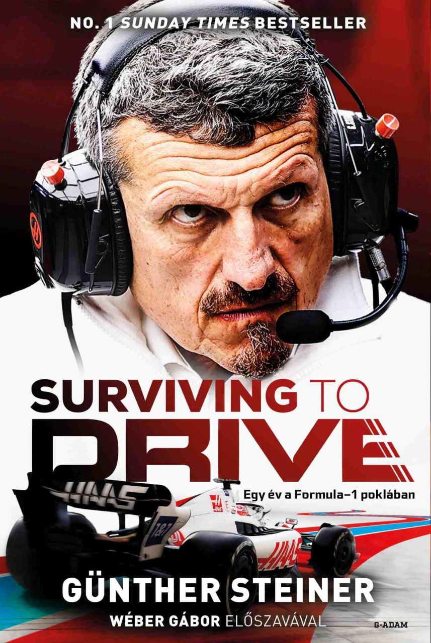 Surviving to drive - egy év a formula1 poklában