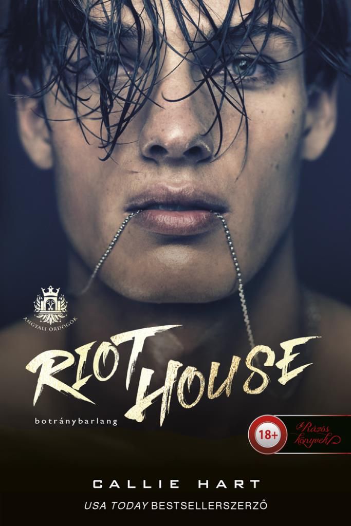 Riot house - botránybarlang (angyali ördögök 1.)