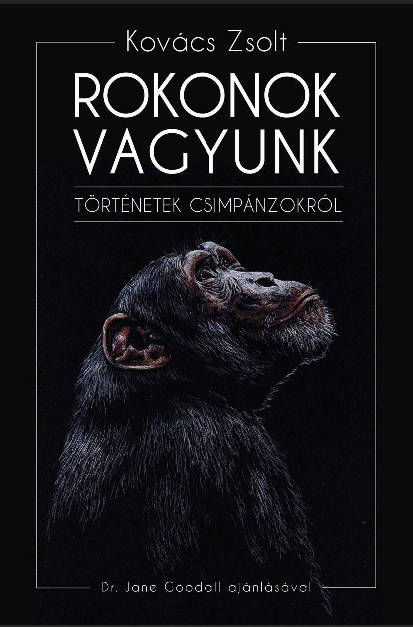 Rokonok vagyunk- történetek csimpánzokról