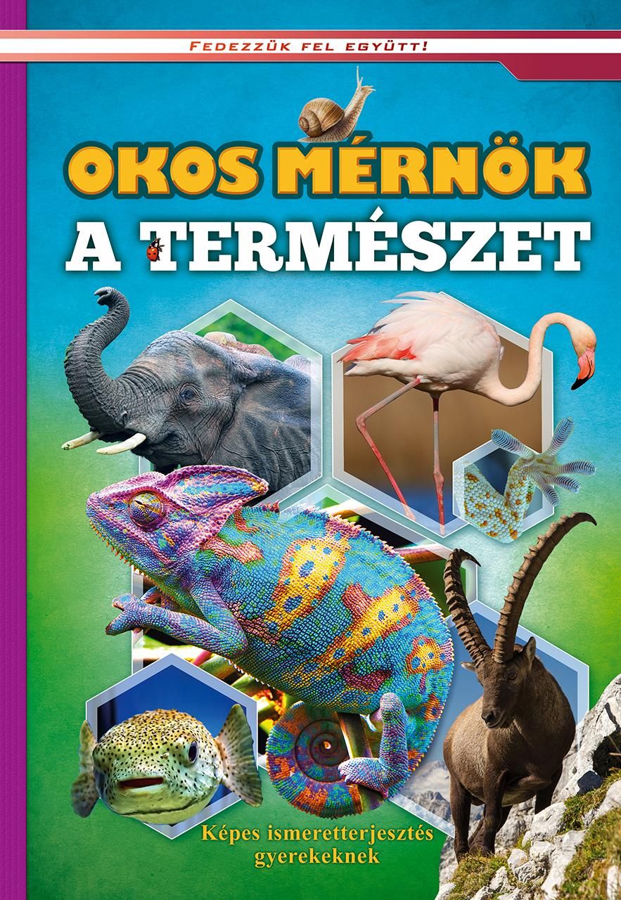 Okos mérnök a természet - képes ismeretterjesztés gyerekeknek