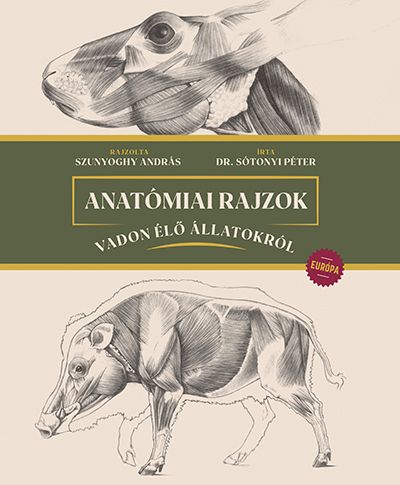 Anatómiai rajzok vadon élő állatokról - európa