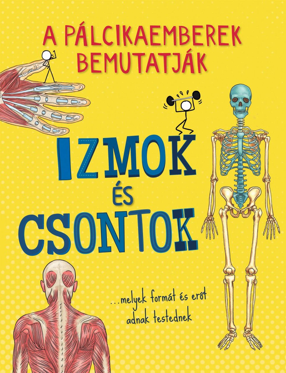 A pálcikaemberek bemutatják: izmok és csontok