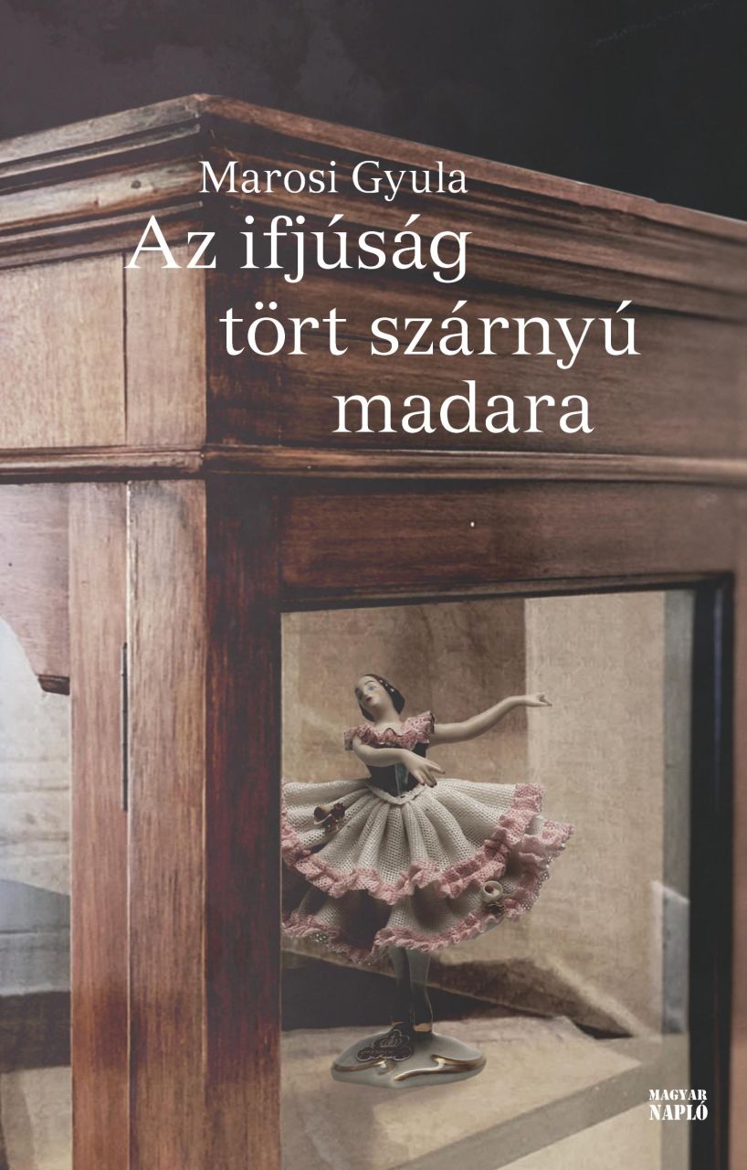 Az ifjúság tört szárnyú madara