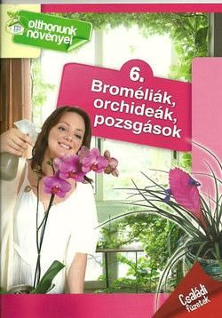 Broméliák, orchideák, pozsgások - otthonunk növényei