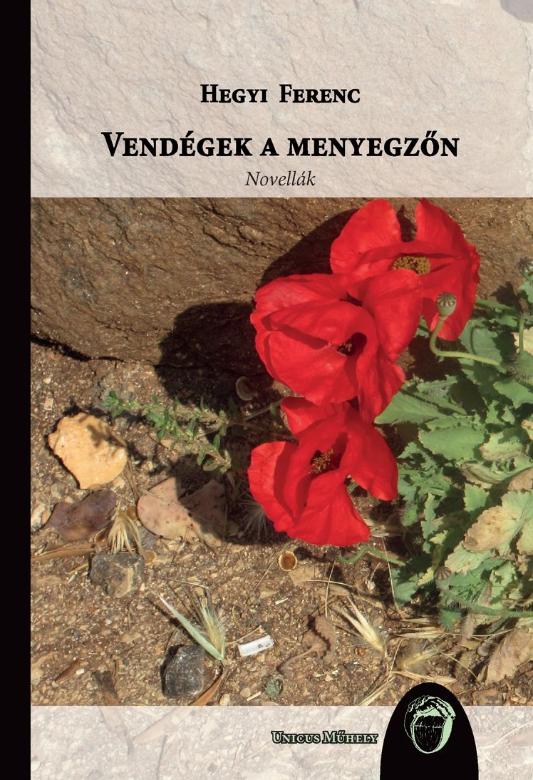 Vendégek a menyegzőn - novellák