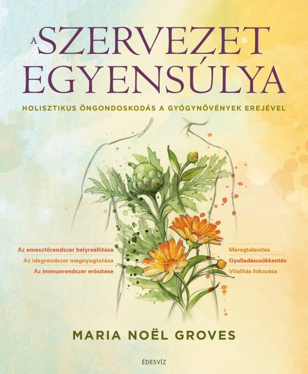 A szervezet egyensúlya