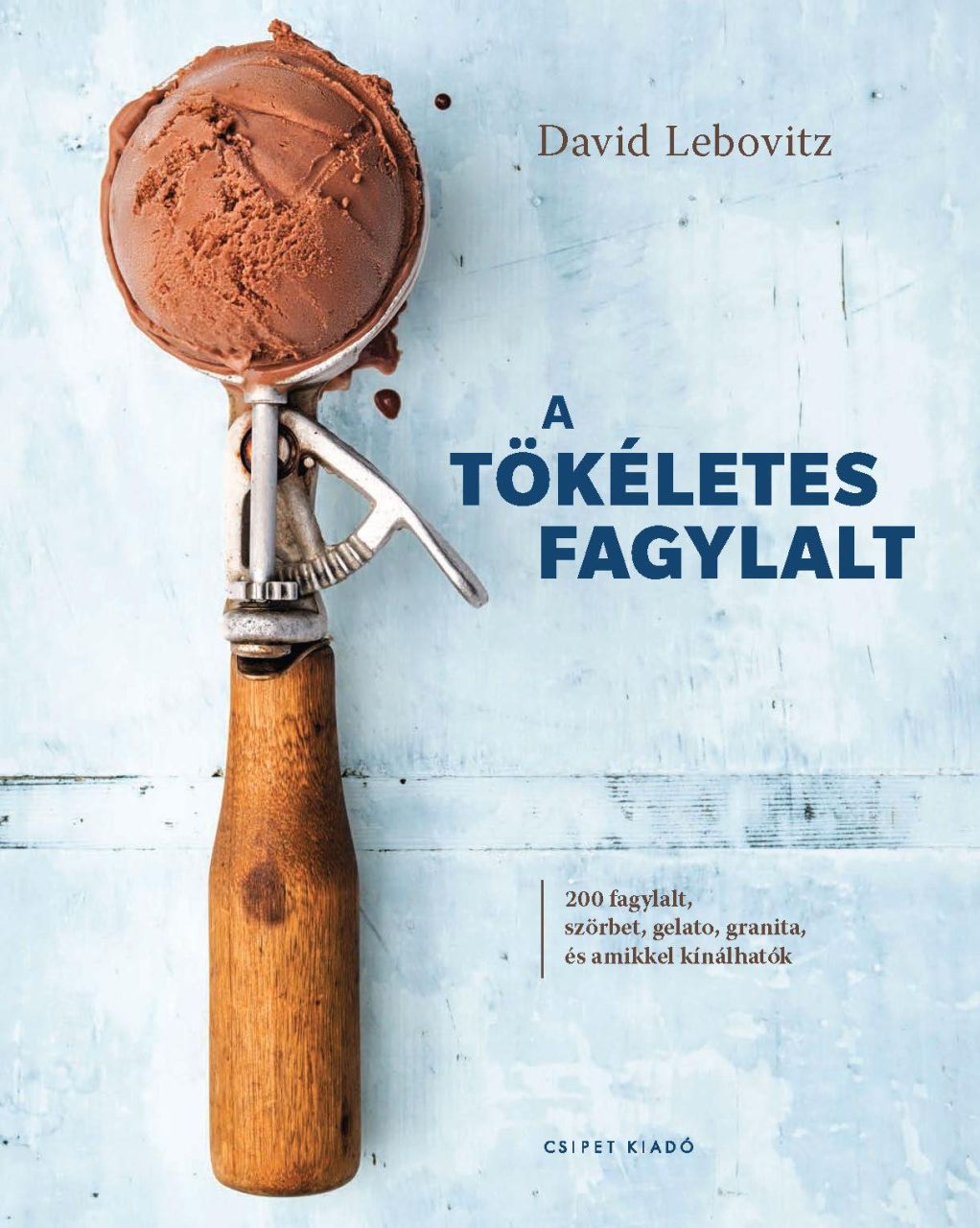 A tökéletes fagylalt