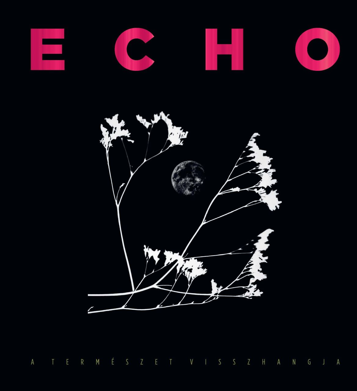 Echo- a természet visszhangja