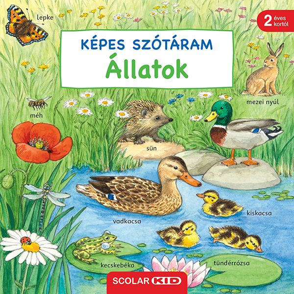 Állatok - képes szótáram