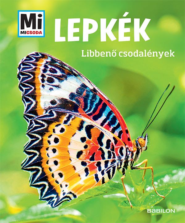 Lepkék - libbenő csodalények - mi micsoda