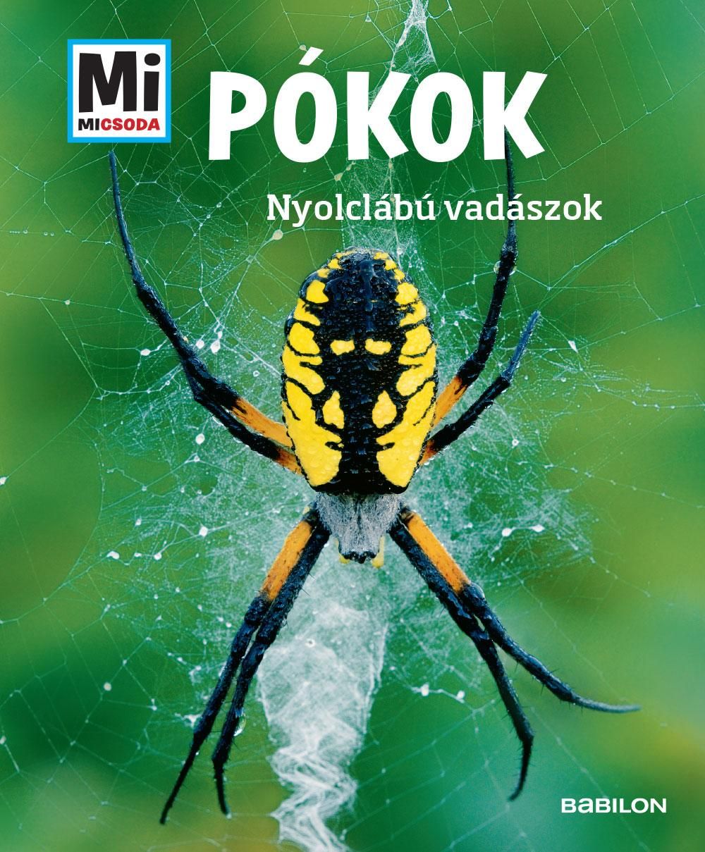 Pókok - nyolclábú vadászok - mi micsoda