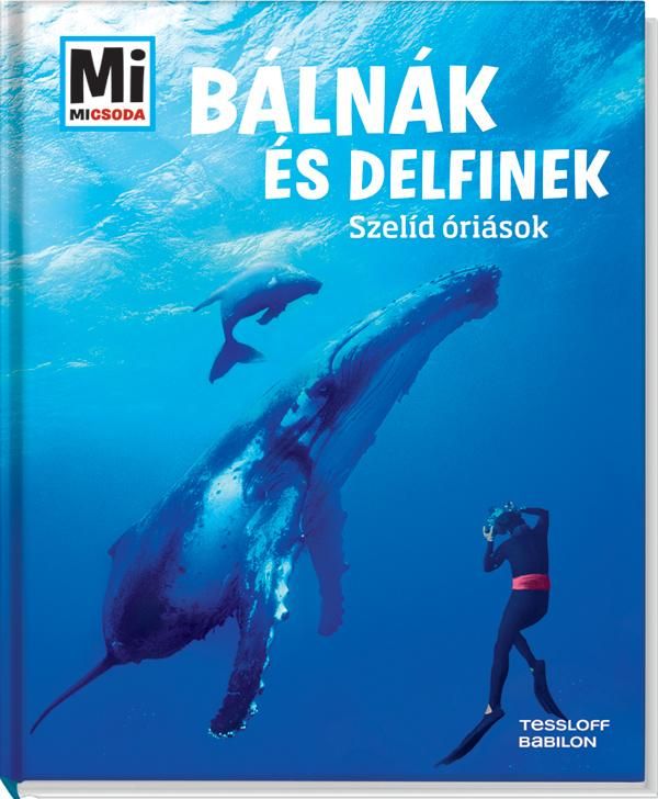 Bálnák és delfinek - szelíd óriások - mi micsoda