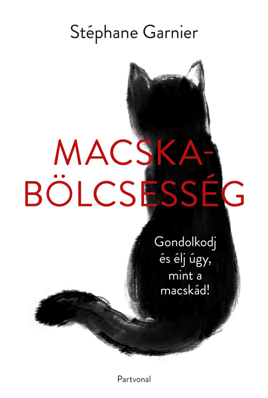 Macskabölcsesség