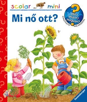 Mi nő ott? - scolar mini 17.