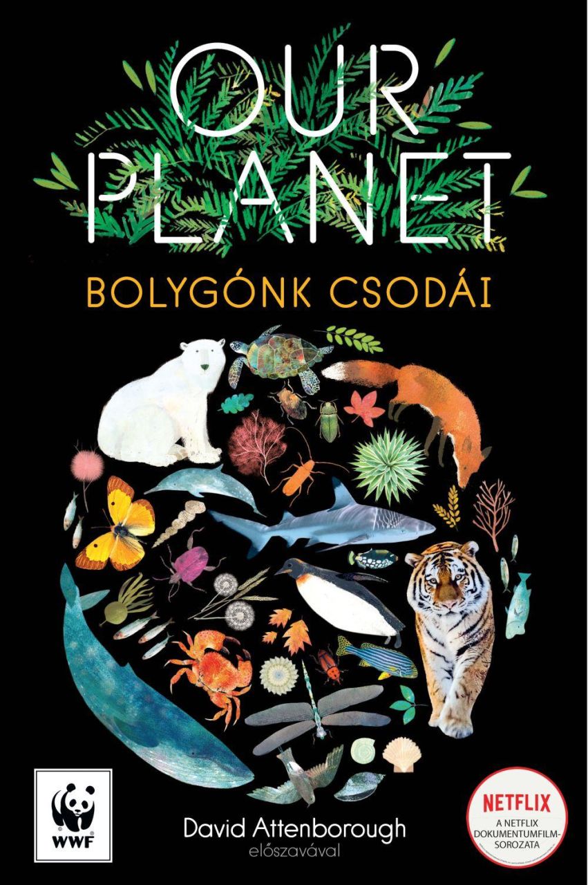 Our planet - bolygónk csodái