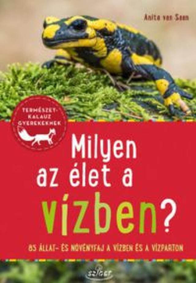 Milyen az élet a vízben? - természetkalauz gyerekeknek