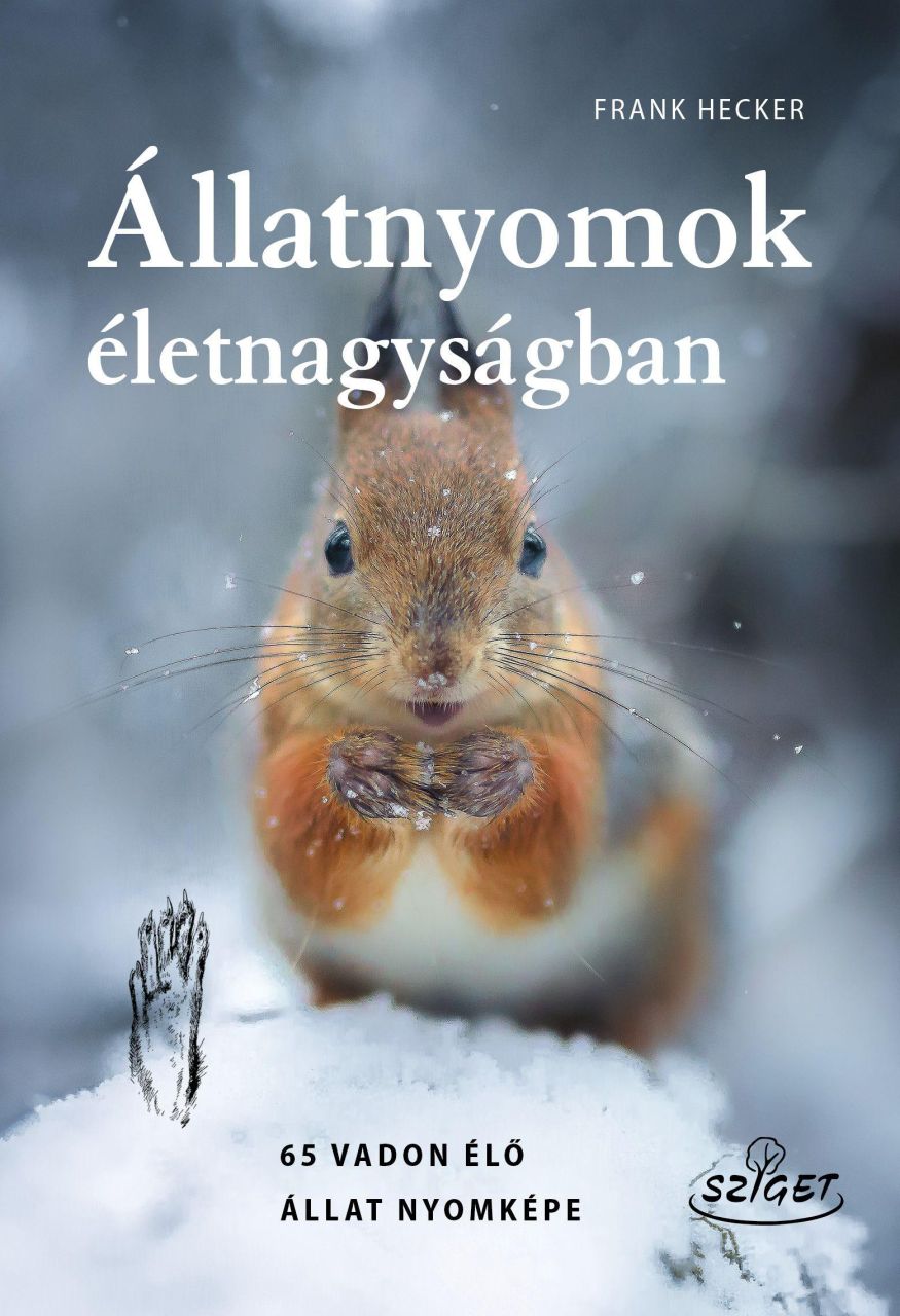 Állatnyomok életnagyságban