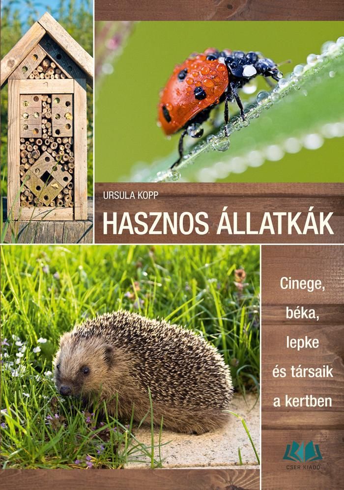 Hasznos állatkák - cinege, béka, lepke és társaik a kertben