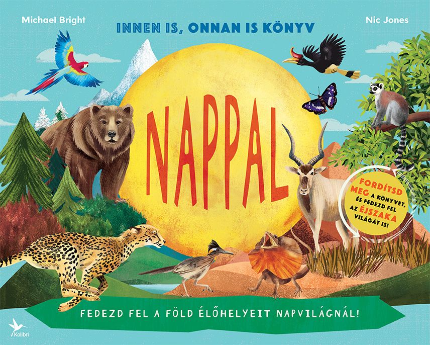 Nappal / éjszaka - innen is, onnan is könyv