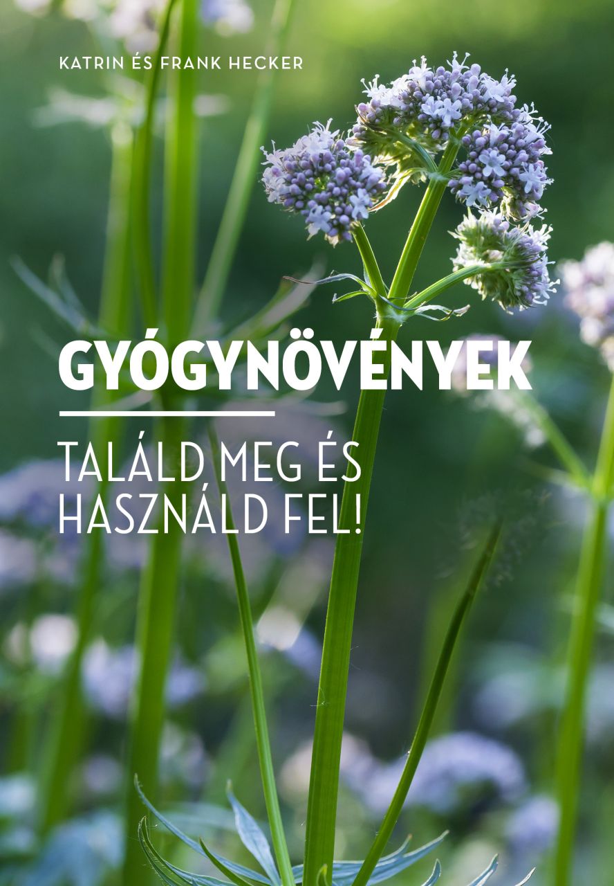 Gyógynövények - találd meg és használd fel!