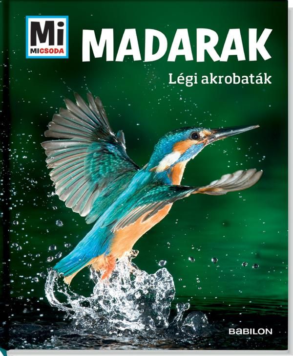 Madarak - légi akrobaták - mi micsoda