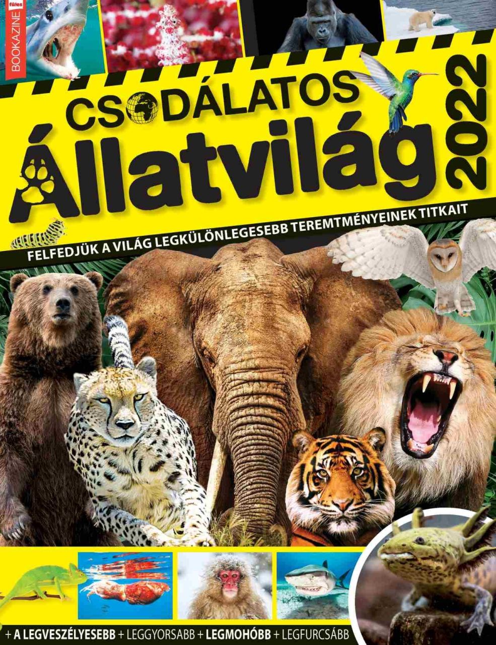 Csodálatos állatvilág - füles bookazine 2022/4.