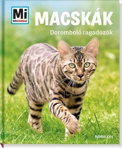 Macskák - doromboló ragadozók