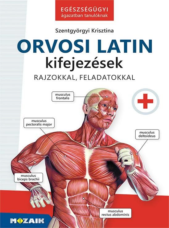 Orvosi latin kifejezések rajzokkal, feladatokkal