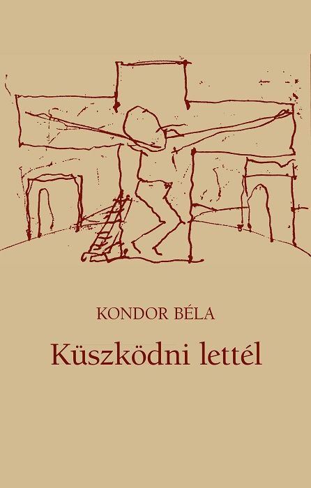 Küszködni lettél (új borító)