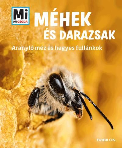 Méhek és darazsak - mi micsoda