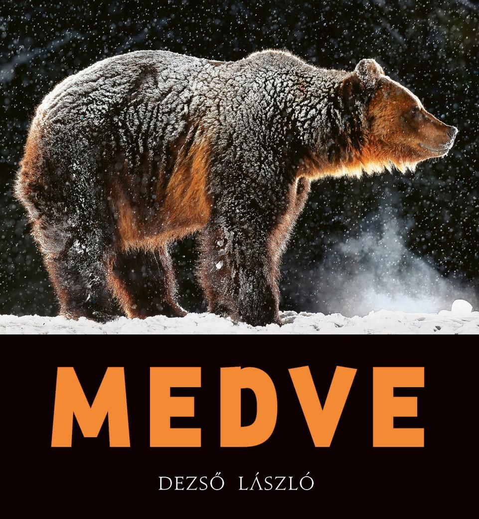 Medve