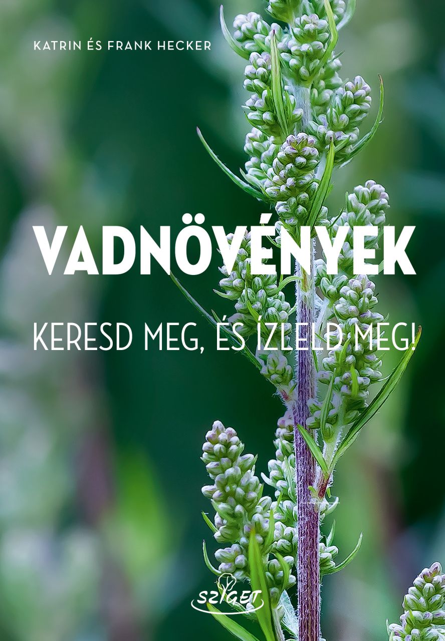 Vadnövények - keresd meg, és ízleld meg!