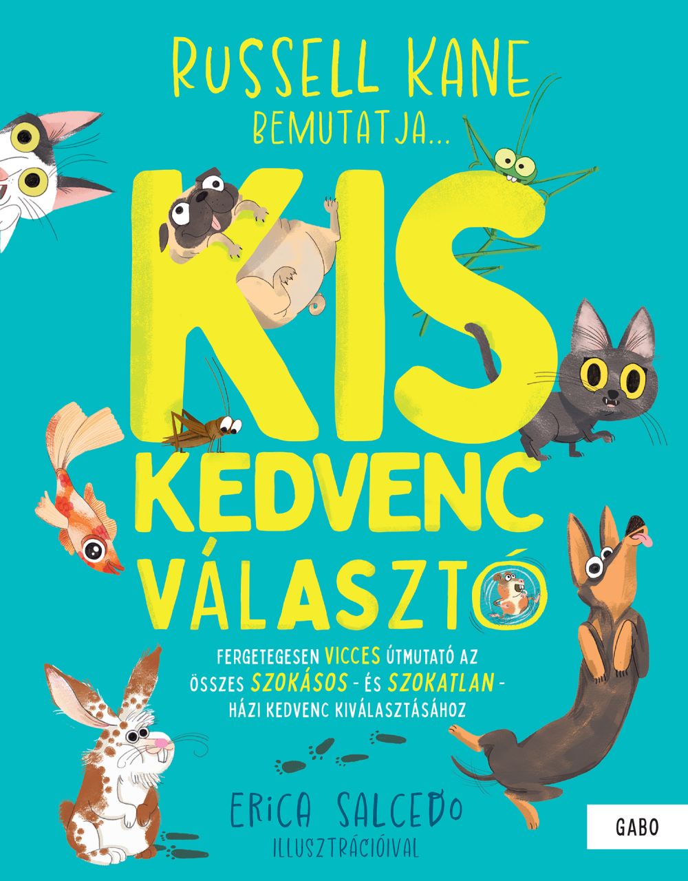 Kiskedvenc választó