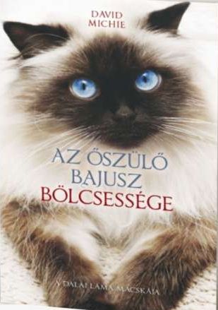 Az őszülő bajusz bölcsessége