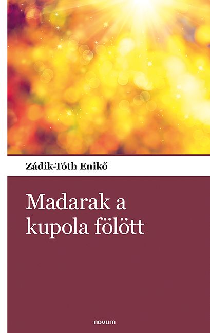 Madarak a kupola fölött