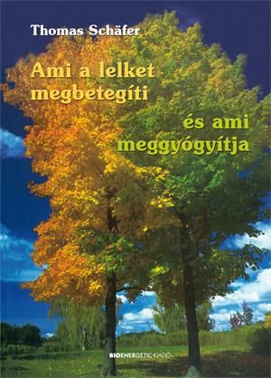 Ami a lelket megbetegíti - és ami meggyógyítja - átdolg. kiad.