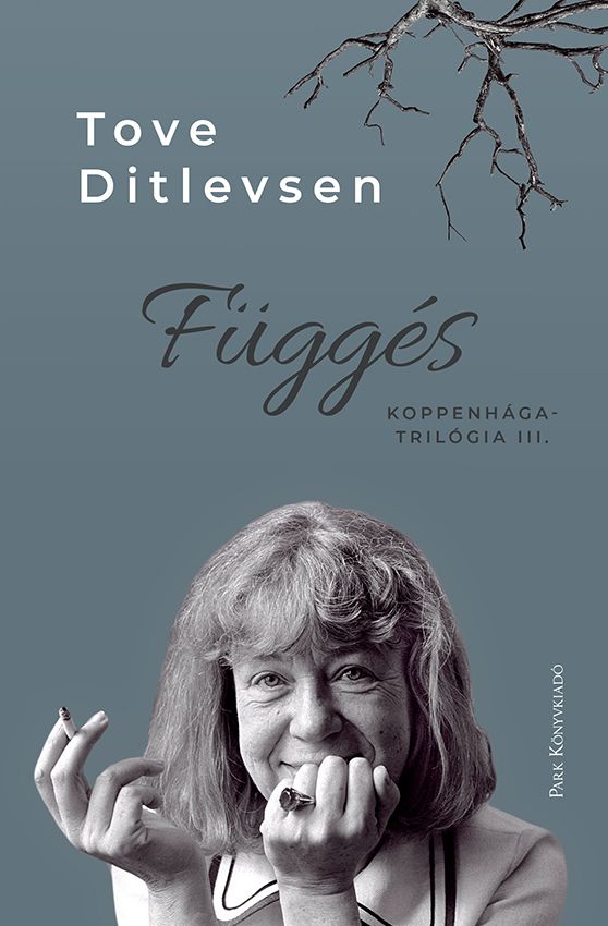 Függés - koppenhága-trilógia iii.