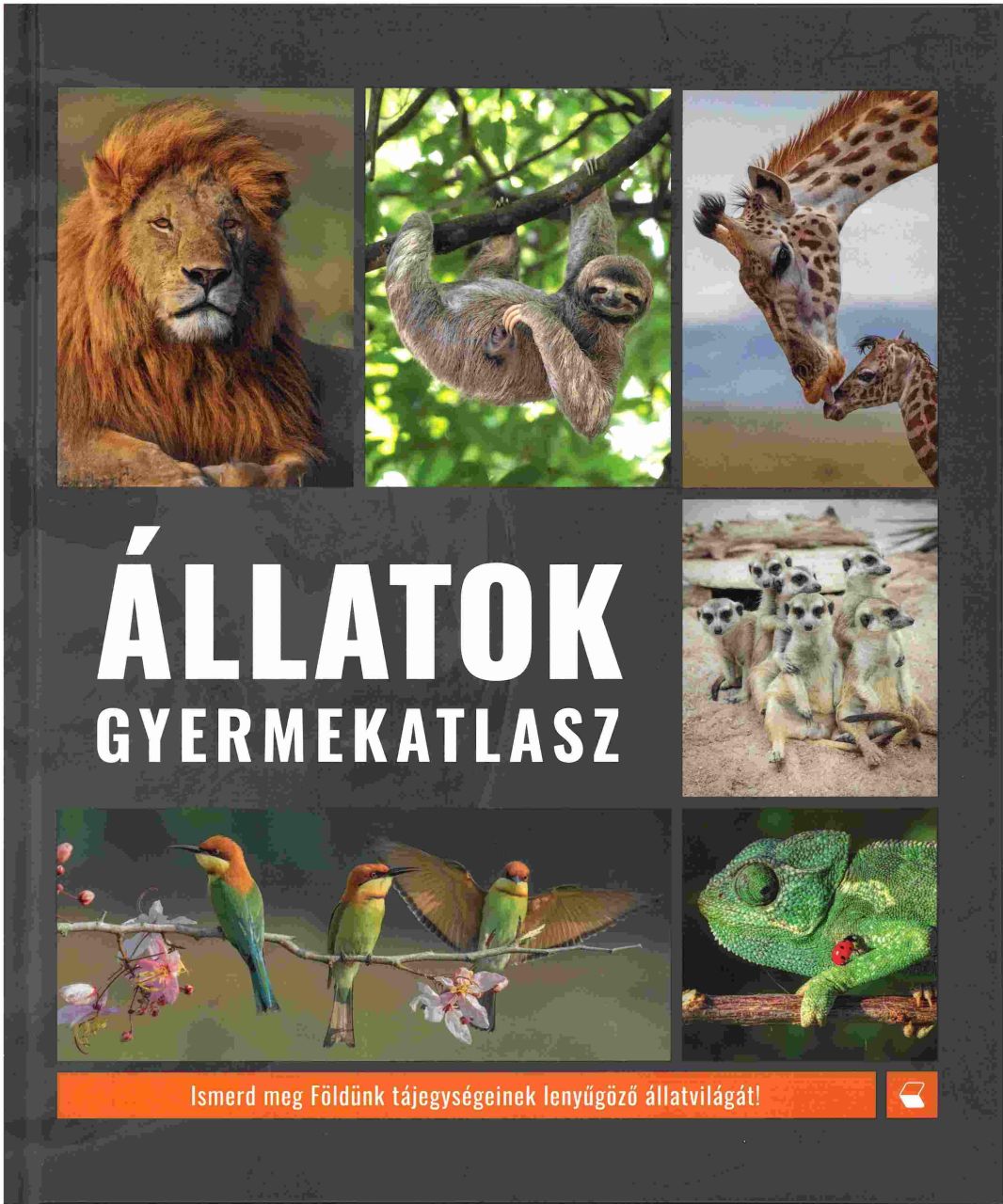 Állatok - gyermekatlasz